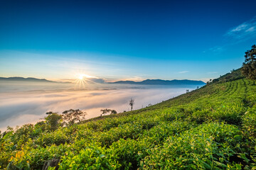 Fototapeta na wymiar Dawn in the valley Vietnam