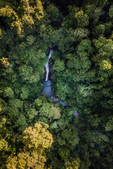 Aerial of  lush green jungle with waterfall in the jungle