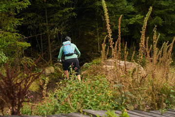 Mit dem Bike durch den Wald