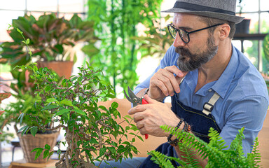 Relax hobbies lifestyle of Caucasian male  wearing apron planting in the room at home.