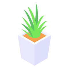 
Isometric icon showing flower pot, outdoor beauty greenery
