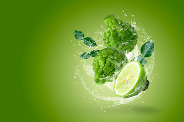 Water splashing on Bergamot fruit with leaf isolated on green background