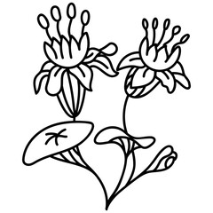 Botanical Flower Plant 