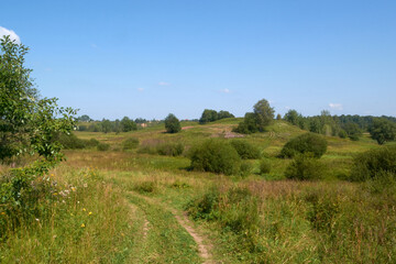 Fototapeta na wymiar country road through a field on a summer day