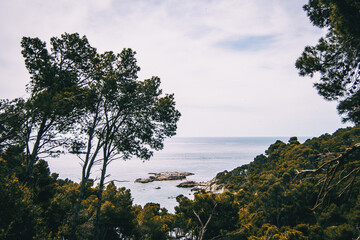 Landscape with views of the sea and some vegetation