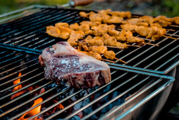 Grilling meat on a barbecue in the garden.