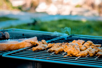 Grilling meat on a barbecue in the garden.