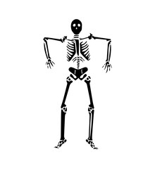 Skeleton silhouette on white background