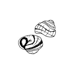 Vector hand drawn escargot. French cuisine dish of snails. Design sketch element for menu cafe, bistro, restaurant, label and packaging. Illustration on a white background.