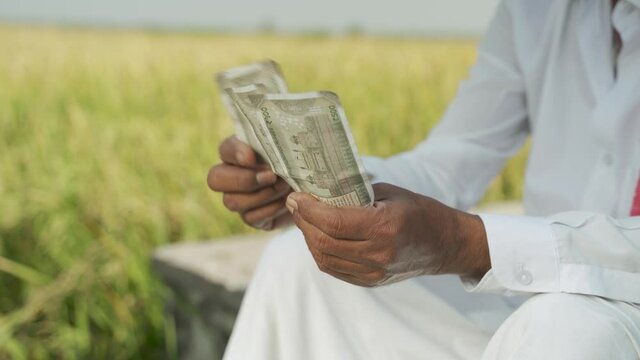 Close up of Indian farmer hands counting money near agriculture field - concept of good or bumper crop harvest, farm subsidy, credit or loan support to farmers