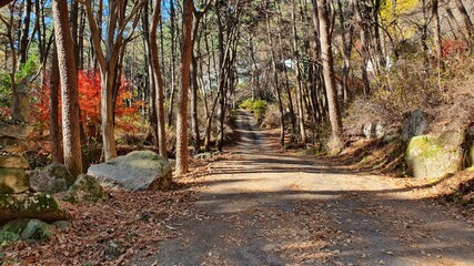 한국의 어느 산자락 불교 사찰 입구 풍경 3