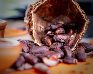 Raw ( cocoa ) chocolate beans at an artisan food market.