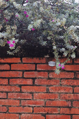 Old red brick wall with shrubs and plants, flowers, fresh, vibrant, sunshine, shining, and quietly living