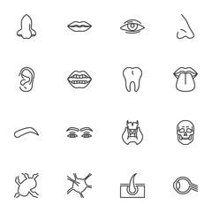 Human face parts line icons set, outline vector symbol collection, linear style pictogram pack. Signs, logo illustration. Set includes icons as body parts, nose, lips, eye, ear, tooth, eyebrow