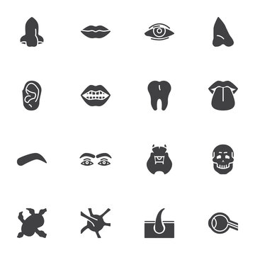 Human face parts vector icons set, modern solid symbol collection, filled style pictogram pack. Signs, logo illustration. Set includes icons as body parts, nose, lips, eye, ear, tooth, eyebrow