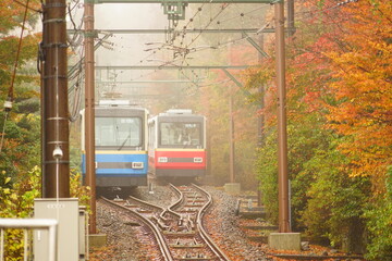 紅葉とケーブルカー