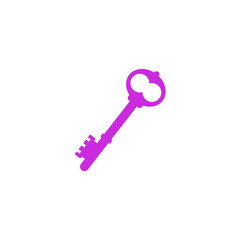 Key vector icon.
