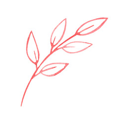Watercolor red twig isolated on white background. Outline drawing of a branch. Part of the plant. Botanical illustration.