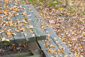 Fototapeta na wymiar Mesa de pícnic de madera cubierta de hojas en otoño