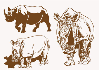 Vintage set of rhinoceroses , sepia background, vector