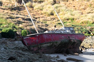 Old fishing boat on Carcass Island Beach in the Falkland Islands