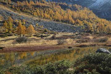 Autumn landscape in the mountain