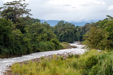 Fototapeta na wymiar Landscape of the Sarapiqui River in Costa Rica in the rainforest seen from a bridge in Porto Viejo de Sarapiqui