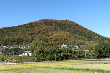田圃と大坊山 (栃木県)(晩秋/紅葉)