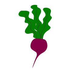 Beetroot hand drawn in Doodle style, cute vector