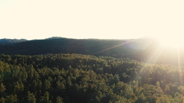 Flying over the Black Hills in South Dakota at sunset.