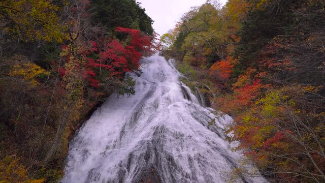 Slow tilt up over beautiful broad waterfall with bright and vibrant autumn colors