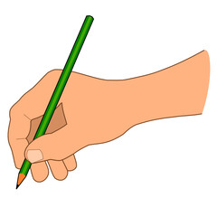 mans hand holding sharp green pencil vector on white background isolated