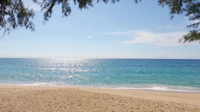 Deep blue sea water surface reflection of sun glare n calm ocean wave crashed exotic golden sandy bay in tropical summer sunlight ray with pine tree leaf at mai khao beach, 4k uhd cinemagraphs b-roll 