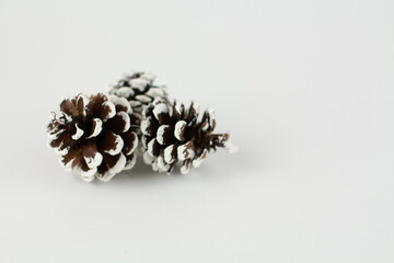 Christmas tree toys pine cones on a white background