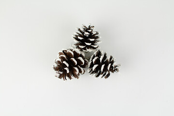 Christmas tree toys pine cones on a white background