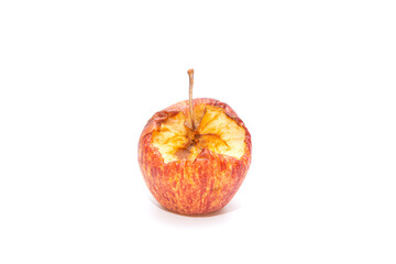 fruit was bitten by a squirrel gnawing