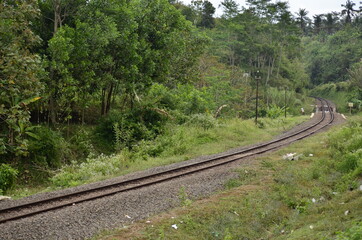 Fototapeta na wymiar railway in the forest