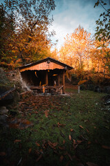 A Cabin in The Woods