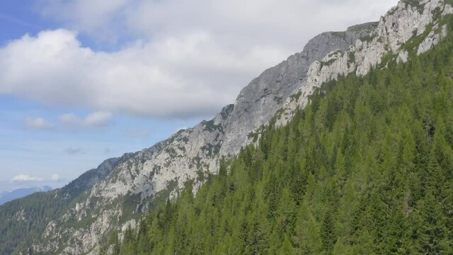 Aerial over green forest trees and Alpine rocky mountains, Alps