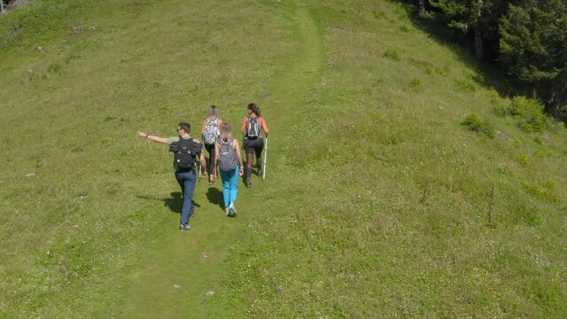 Four friends hiking on green sunny mountain. Adventures travel concept