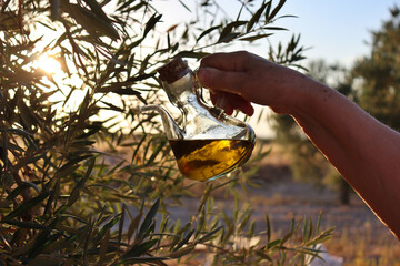 Production and export of authentic extra virgin olive oil of superior quality