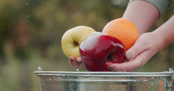 Woman washing fresh fruits in a bucket of water