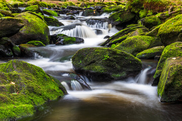 Beautiful landscape of the Czech Republic area of the Sumava National Park.
