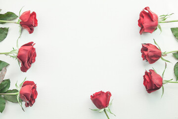 Naklejka na ściany i meble Red roses on white background.