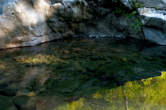 Beautiful Nature Detail. Biella, Italy