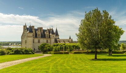 Beautiful garden and Castle Chateau d'Amboise by sunny day, Loire Valley, France. - obrazy, fototapety, plakaty