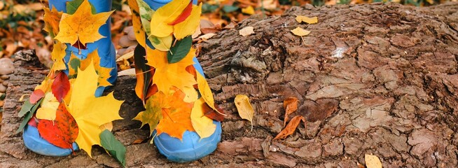 Blue rain boots with autumn colorful red, orange, yellow leaves on rustic background. Autumn mood,...