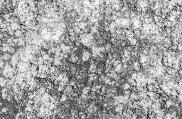 Abstract black and white rock surface.