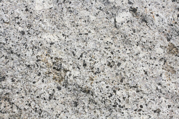 Granite bolder surface. Intrusive igneous rock.