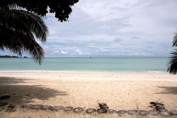panorama paradise sandy beach with  turquoise water of the sea and palm trees silhouette